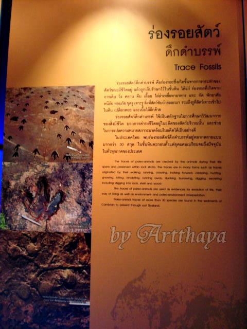 Museum226.JPG